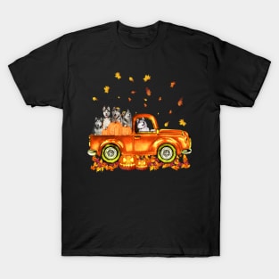 Husky Pumkin Car Autumne Halloween T-Shirt